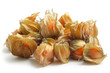 Physalis fruits