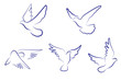 White doves