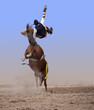 Flying High