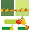 Backgrounds and banners with fruits. Vector illustration