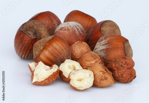 Foto: Haselnuss4 Haselnuss4