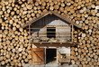 Casa di legno