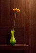gerbera in vase at brown home background