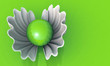 Pearl Green - Shell white Pearl Green - Shell white