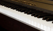 Electric piano close up Electric piano close up
