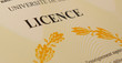 Diplôme de licence universitaire