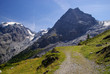 Ortler Massiv - Ortler Alps 16