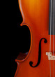 Cello closeup Cello closeup