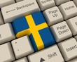 Sweden Flag Key