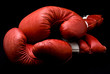 gants de boxe