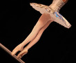 danse sur pointes