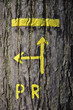 Chemin de randonée