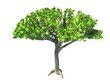 3d tree