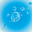 vector Soap bubbles on sky.Sunny background vector Soap bubbles on sky.Sunny background