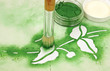 Stencil Brush Paint Stencil Brush Paint