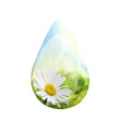 printemps goutte pâquerette printemps goutte pâquerette
