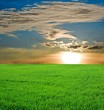 sunset in a fields sunset in a fields
