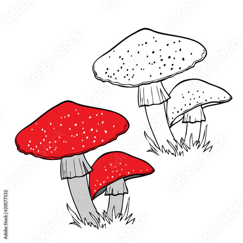 Vector: Fly Agaric Fly Agaric