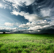 Storm