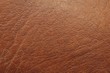 leather texture