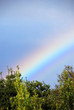 Foto: Regenbogen Regenbogen