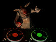 Punky Hog DJ Punky Hog DJ