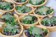 Plate of many mini bite size quiche appetizers