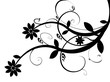 Vector - Trendy floral design on white