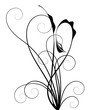 Vector - Element of curled black vine