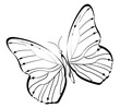 Illustration with abstract black butterfly on white