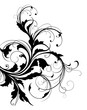Abstract swirly floral element on white