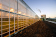 Glasshouse