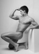 Young model