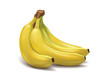 bunch of tropical bananas