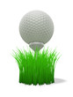 golf ball on tee - with grass