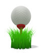 golf ball on red tee - with grass