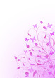 Spring background