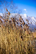 Lac du bourget