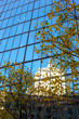 Autumn colors in front of a city skyscraper in vertical