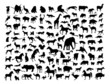 Animals silhouettes isolated on white