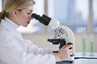 Foto: female scientist looking through microscope female scientist looking through microscope