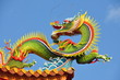 dragon dragon