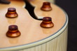 guitare électrique