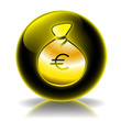 Euro glossy icon Euro glossy icon