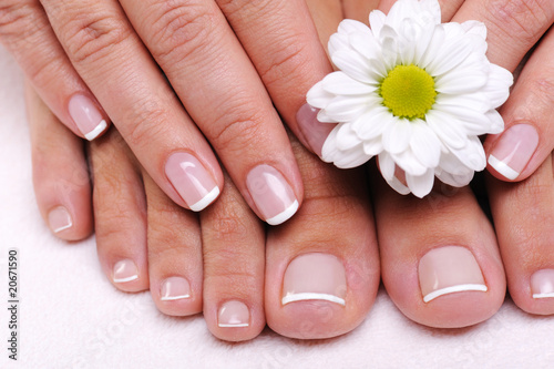 Photo: Well-groomed female toes Well-groomed female toes