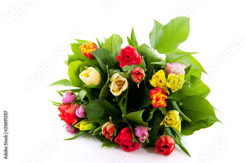 colorful bouquet of tulips colorful bouquet of tulips
