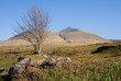 Ben More