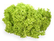 Blattsalat