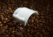 Coffeecup in coffeebean's heap