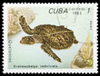 Animals on a postage stamp Animals on a postage stamp